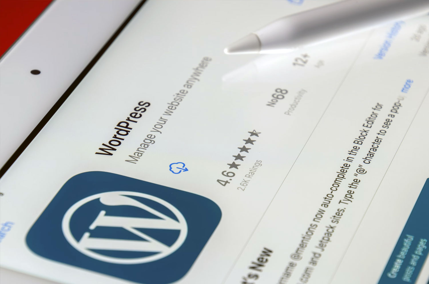 wordpress plugin